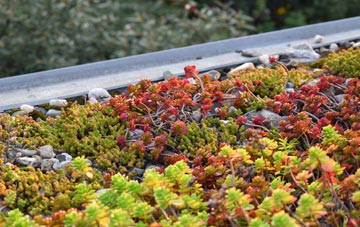 the cost of Ubberley green roof installation