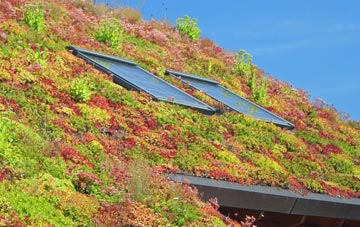 Ubberley living roof systems