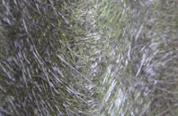 Ubberley fibreglass roof work